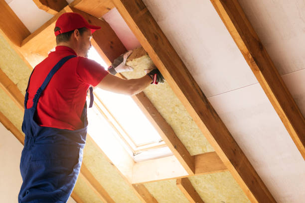 Types of Insulation We Offer in Fort Mckinley, OH